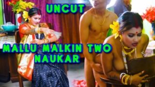 Mallu Malkin Hardcore Goddesmahi Hindi Uncut Porn Video